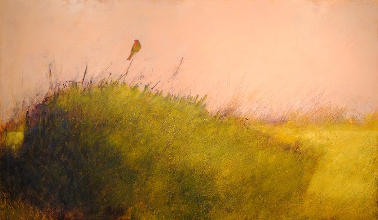 Sparrow Hawk